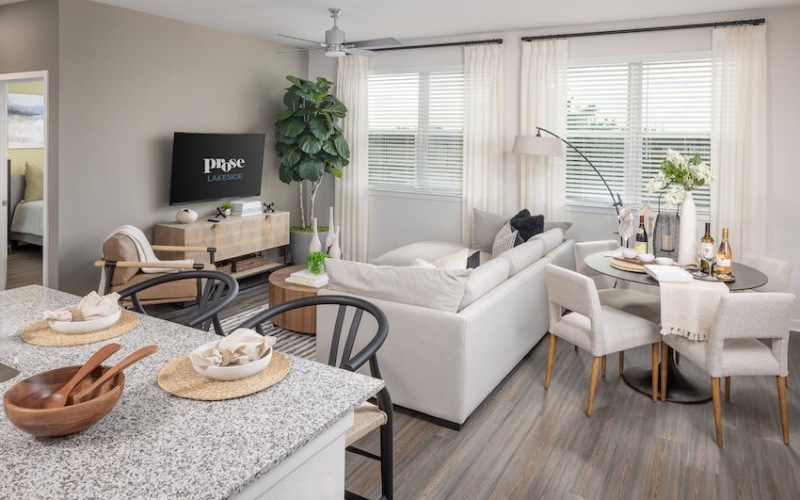 Stylish Surroundings